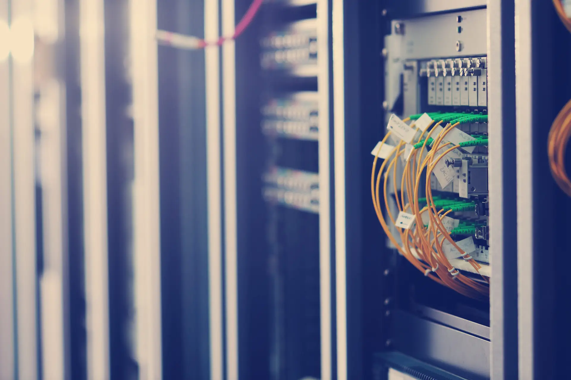 Fibre optic cables connected to a server rack